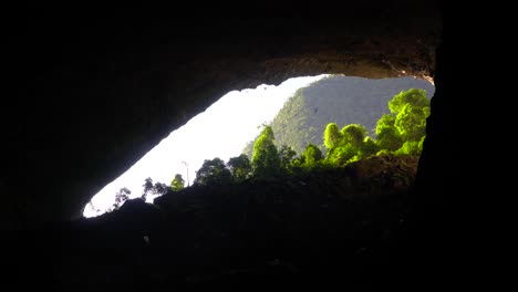 Silhouettes-of-thousands-swiftlets-flying-inside-big-cave-entrance