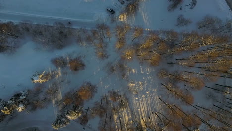 A-slow-downward-spiralling-aerial-drone-shot-flying-directly-over-a-section-of-forest-in-a-busy-city-covered-in-sparkling-white-snow-during-winter