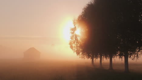 Golden-sunrise-peaking-through-dense-mystical-foggy-morning-landscape