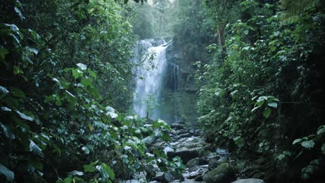 Reveal-of-a-waterfall-in-a-rainforest