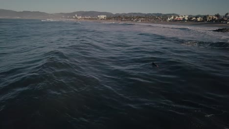 Aerial-view-behind-surfer-moving-around-on-ocean-waves-off-the-coast-of-Venice-beach