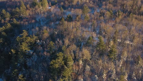 Flying-forward-over-a-winter-forest-just-before-sunset-in-northern-Maine-AERIAL