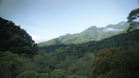 Vista-Panorámica-Lenta-De-Un-Bosque-En-Las-Tierras-Altas-De-Panamá