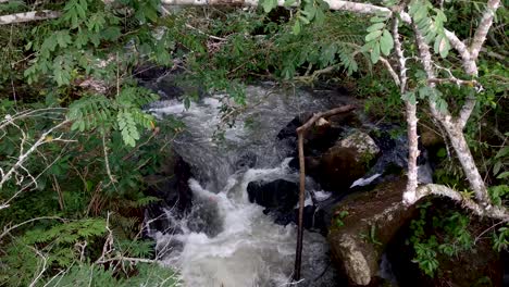 Schnell-Fließender-Fluss,-Der-Durch-Eine-Felsige-Landschaft-Fließt
