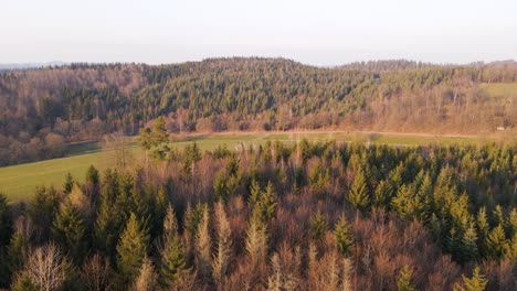 Los-Bosques-Mixtos-Parcialmente-Desnudos-Durante-Un-Soleado-Día-De-Invierno-En-Alemania-Occidental