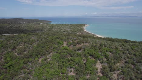 Turquoise-Tropical-Ocean-And-Vegetation-In-Great-Keppel-Island,-Yeppoon,-Queensland---aerial-drone-shot