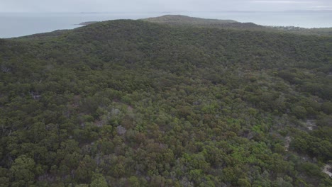 Tropical-Vegetation-Surrounding-Great-Keppel-Island-In-Queensland,-Australia---aerial-drone-shot