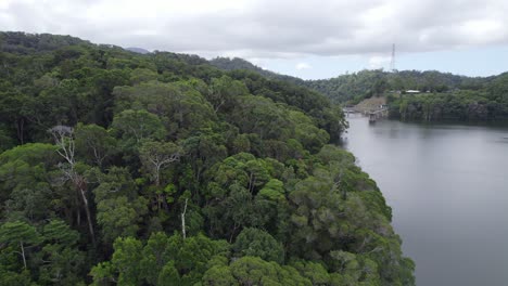 Tropical-Rainforest-At-The-Copperlode-Falls-Dam-Near-Cairns-In-Queensland,-Australia