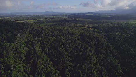 Flight-Over-Dense-Thicket-In-Port-Douglas,-In-The-Tropical-Far-North-Of-Queensland,-Australia---drone-shot