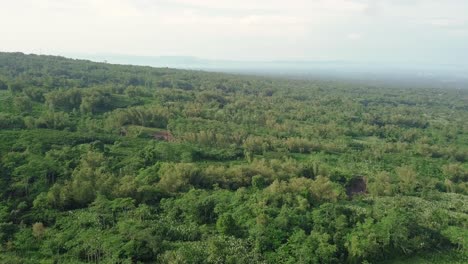 Aerial-flyover-green-forest-landscape-on-the-slope-of-Merapi-Volcano
