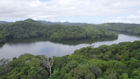 Vegetación-Tropical-Que-Se-Refleja-En-Las-Tranquilas-Aguas-Del-Lago-Morris-En-Cairns,-Norte-De-Queensland,-Australia---Toma-Aérea-De-Drones