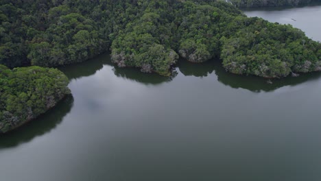 Serene-Environment-At-Lake-Morris-In-Cairns-Region,-Queensland,-Australia---aerial-shot