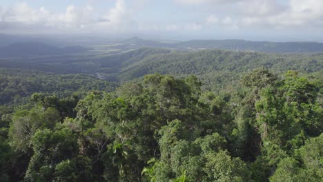 Greenery-Landscape-Of-Forest-And-Mountains-In-Port-Douglas,-Far-North-Of-Queensland,-Australia---aerial-drone-shot