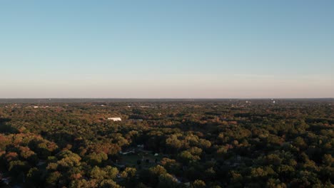 Aerial-drone-forward-moving-shot-over-green-treetops-during-autumn-season-at-dusk