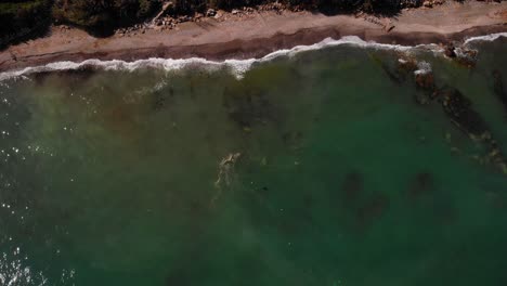Waves-Crashing-Into-Quiet-Beach-In-Estepona-Costa-del-Sol,-Spain---aerial-shot