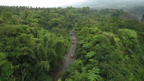 Aerial-birds-eye-shot-of-trucks-driving-on-rural-road-bet-ween-forest-woodland-on-the-slope-of-Merapi-Volcano---Transport-for-sand-mine-in-Indonesia---Ascend-shot