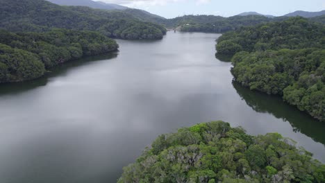 Flying-Over-Dense-Rainforest-Around-Copperlode-Dam-In-Queensland,-Australia