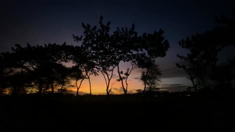 Dusk-sunset-landscape,-silhouetted-trees-against-orange-sky,-pan-left