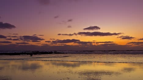 Sunset-Beach,-Eine-Kleine-Welle-Gleitet-Unter-Dem-Violetten-Himmel-Auf-Die-Kamera-Zu