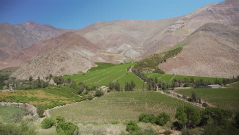 Aerial-Panorama-Of-The-Vineyards-In-Elqui-Valley,-Coquimbo-Region,-Chile
