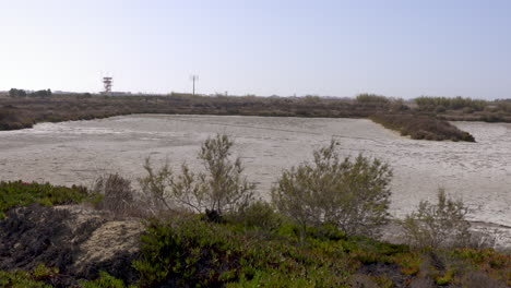 Schwenk-über-Ein-Natürliches-Salzgewinnungsgebiet-Im-Süden-Portugals