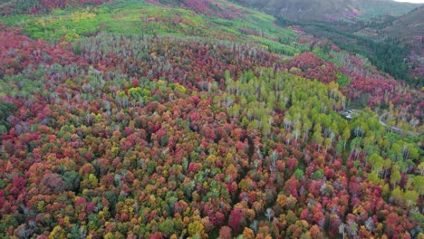Bird's-Eye-View-Of-Dense-Forest-With-Autumn-Colors-In-The-Mountain-Range-Of-Utah,-USA