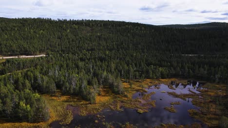 Flying-over-small-lake-surrounded-by-pine-forest,-aerial-dolly-in