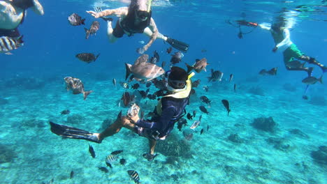 Un-Fotógrafo-Tomando-Fotos-De-Turistas-Disfrutando-Del-Esnórquel-Y-El-Buceo-En-Gira-En-El-Océano-Azul-|-Peces-Pargos-Y-Peces-Sargento-Peces-De-Arrecife-Siguiendo-Al-Buzo/fotógrafo-Bajo-El-Agua-En-El-Mar-Azul