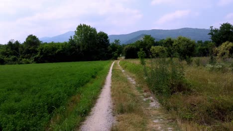 Camino-Rural-Entrando-En-árboles-Verdes,-Montañas-En-El-Fondo,-Turín,-Italia