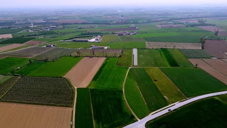 Flying-Over-Wide-Agriculture-Green-Fields,-Countryside-Near-Turin,-Italy