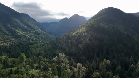 Wide-aerial-view-of-mountains-in-Washington-State-covered-in-forests-of-evergreen-trees