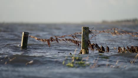 A-static-shot-of-wooden-stakes-in-stormy-water-in-the-morning-time