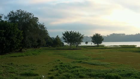 Beautiful-dolly-in-rising-shot-following-a-small-bird-flying-over-marshes-and-trees-revealing-the-man-made-Guarapiranga-Reservoir-in-the-southern-part-of-São-Paulo,-Brazil-on-a-fall-evening