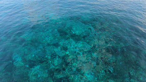 POV-of-ocean-from-fin-and-snorkeling-glasses-|-Ocean-POV-shot-for-snorkeling-and-swimming-|-tourist-ready-to-snorkel-and-dive-in-ocean-using-snorkeling-gears