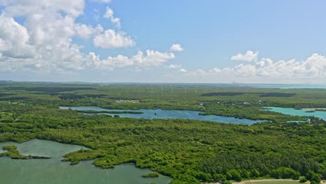 Drone-push-in-toward-wind-turbines-lined-up-in-green-landscape,-Mauritius