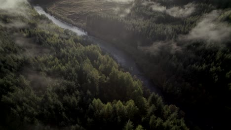 Aerial-drone-footage-high-above-a-forest-of-conifer-trees-slowly-descends-and-tilts-to-reveal-a-river-and-low-hanging-cloud-in-the-treetops-while-the-sun-sets-behind-mountains