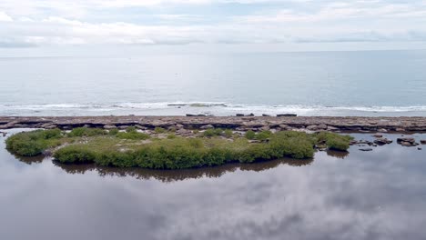 Drohne-Fliegt-über-Mangroven-In-Nigua-feuchtgebieten-Mit-Playa-Los-Cuadritros-Im-Hintergrund,-San-Cristobal-In-Der-Dominikanischen-Republik