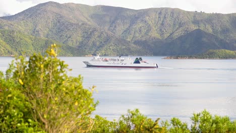 Ferry-traveling-in-between-New-Zealand's-two-islands-in-golden-sunshine
