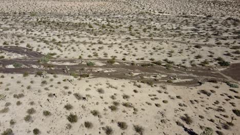 Tilt-up-drone-footage-of-dry-mountainous-terrain-and-dried-up-rivers