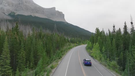 Aerial-dolly-in-of-car-driving-on-road-between-pine-tree-forest,-Canadian-Rockies-in-background,-Banff-National-Park,-Alberta,-Canada