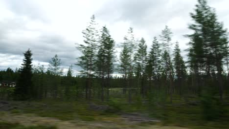 Scandinavian-forest-wilderness-shot,-driving-in-Swedish-landscape