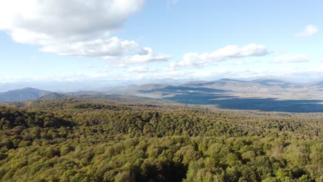 Vista-Aérea-De-Exuberantes-árboles-Verdes-En-El-Bosque-Nacional-Sabaduri-A-La-Luz-Del-Día-En-Georgia