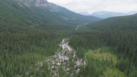 Aerial-orbit-of-river-streaming-between-dense-pine-tree-forest,-Canadian-Rockies-mountanins-at-Banff-National-Park,-Alberta,-Canada