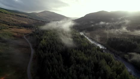 Aerial-drone-footage-descenting-into-the-canopy-of-a-forest-of-conifer-trees-with-a-river-while-low-hanging-cloud-hugs-the-treetops-and-the-sun-sets-behind-mountains