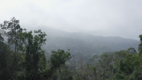 Beautiful-tracking-shot,-landscape,-trees,-forest,-clouds-in-the-Malaysian-wilderness