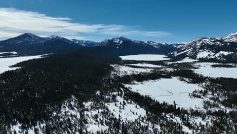 Bosque-De-Pinos-En-La-Nieve-Durante-El-Invierno-En-Stanley,-Idaho
