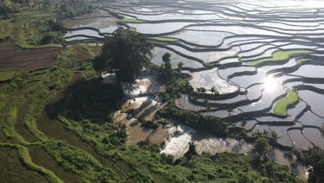 Glistening-Waters-On-The-Rice-Terraces-Fields-With-Irrigation-In-Summer-In-Tema-Tana-Sumba-Regency,-Indonesia