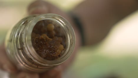 Raw-Stingless-Bee-Medicinal-Honey-Pots-in-a-Glass,-Meliponiculture-Raw-Food-Healthy-Natural-Superfood