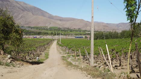 Landschaft-Mit-Landwirtschaftlichem-Bauernhof-Im-Valle-De-Elqui-In-Der-Nähe-Von-La-Serena,-Region-Coquimbo,-Chile