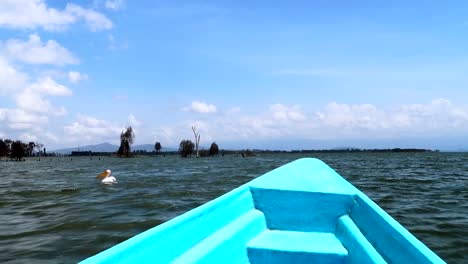 Navigating-in-a-blue-fiber-boat-between-pelicans-in-Crescent-Island,-Kenya